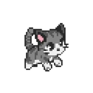 animal