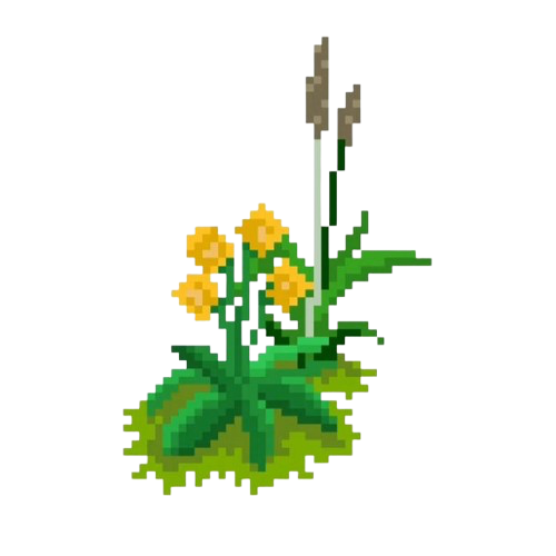 Cluster 2