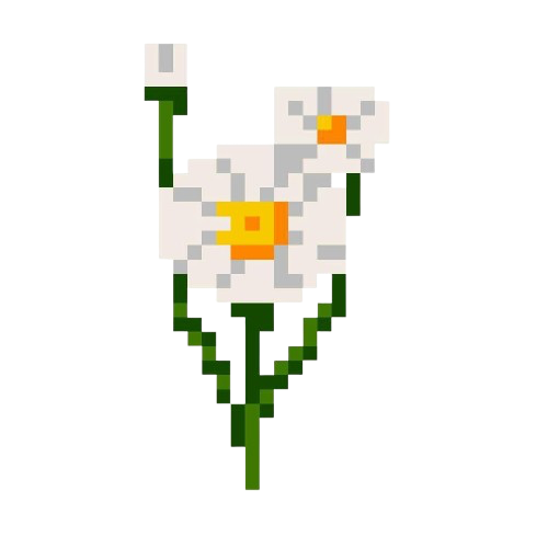 Daisy