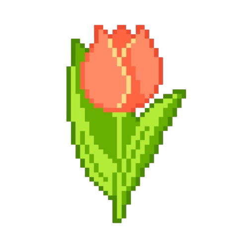 Tulip