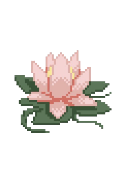 Water Lily